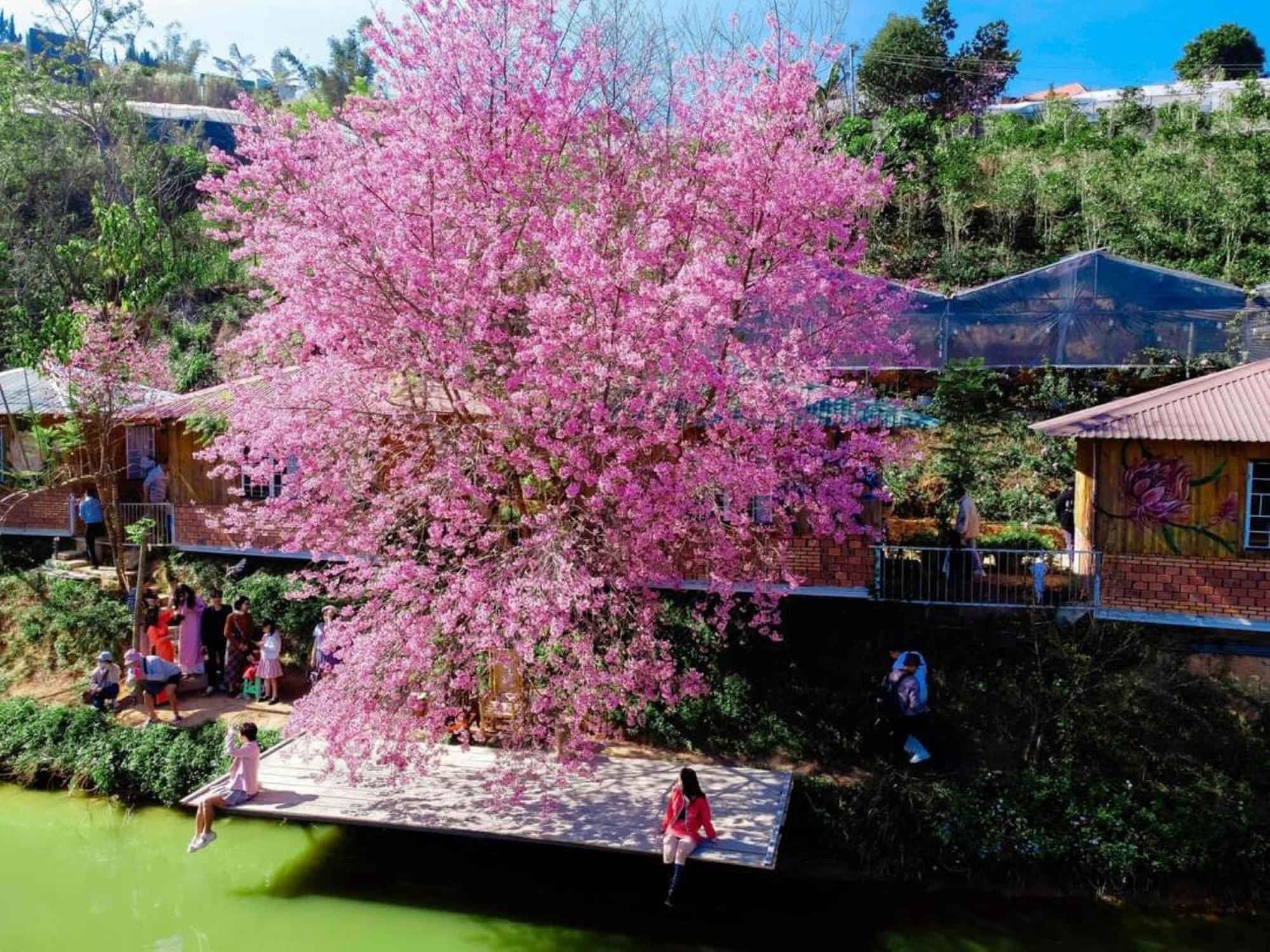 Nha Ben Ho - Da Lat Homestay Exterior photo